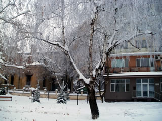 Новини от Лом