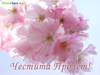 Новини от Лом